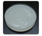 DS-HydroCeramide N5(圖1)
