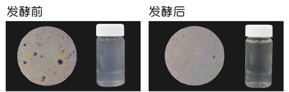 如風米淘淘(圖1)